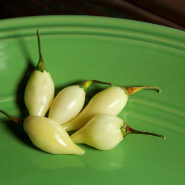 Biquinho White Pepper Seeds - The Pepper Pantry (Formerly Marie Sharp's)